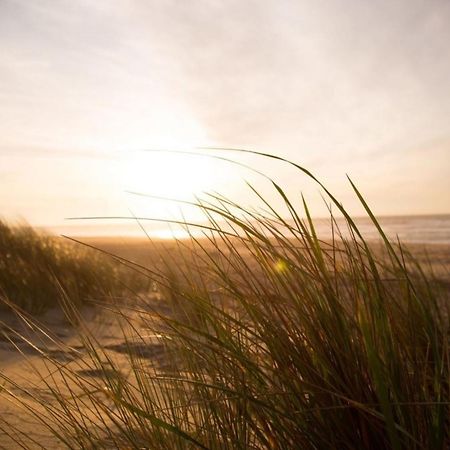 Kleine Nordseewelle Ohne Hund Norden Eksteriør billede