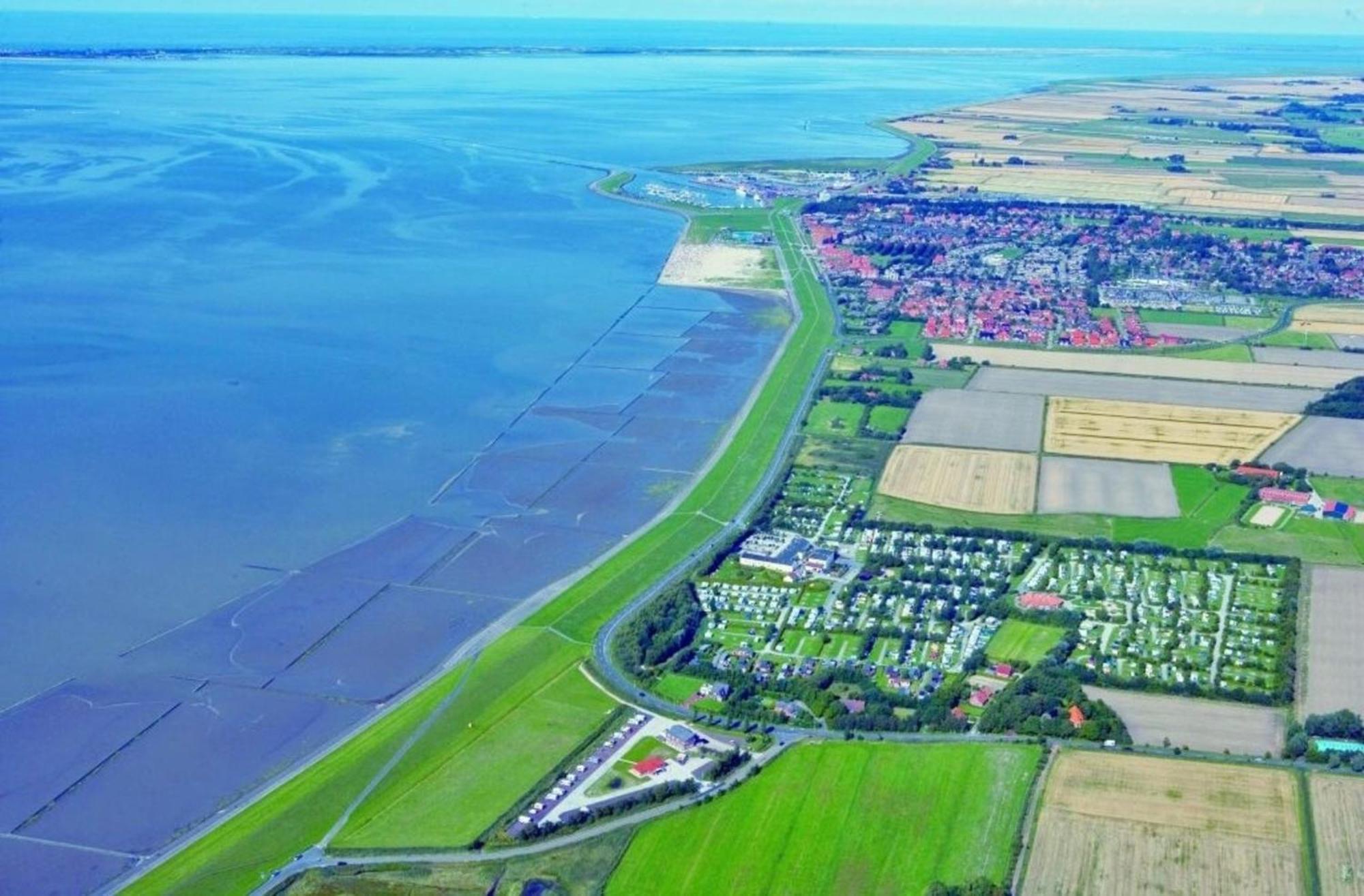 Kleine Nordseewelle Ohne Hund Norden Eksteriør billede